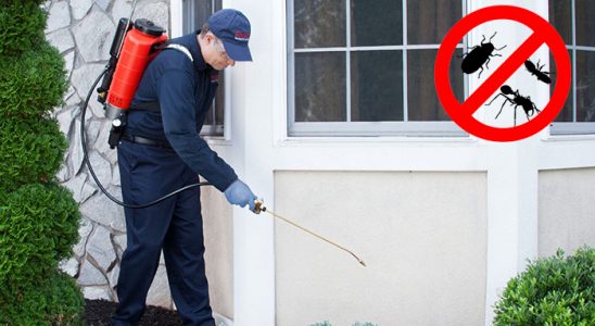 Karayazı Pire İlaçlama böcek ilaçlama ve haşere kontrolü — ilaclama-tr.com